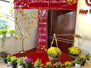 Cuộc Thi “BPO.MP – Ảnh Đẹp Đón Xuân 2019”