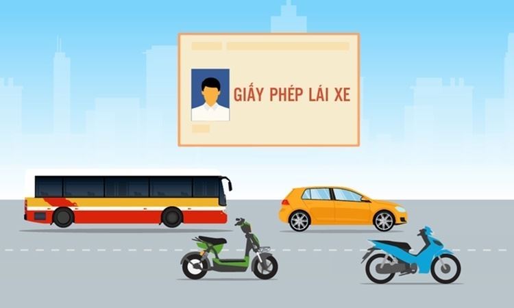 DRIVER’S LICENSES LABELING SERVICE