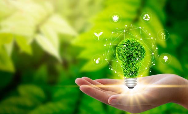 DATA ANNOTATION – GREEN ENVIRONMENT AND HEALTHY MIND