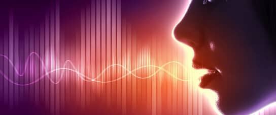 AUDIO DATA COLLECTION SERVICE AT BPO.MP